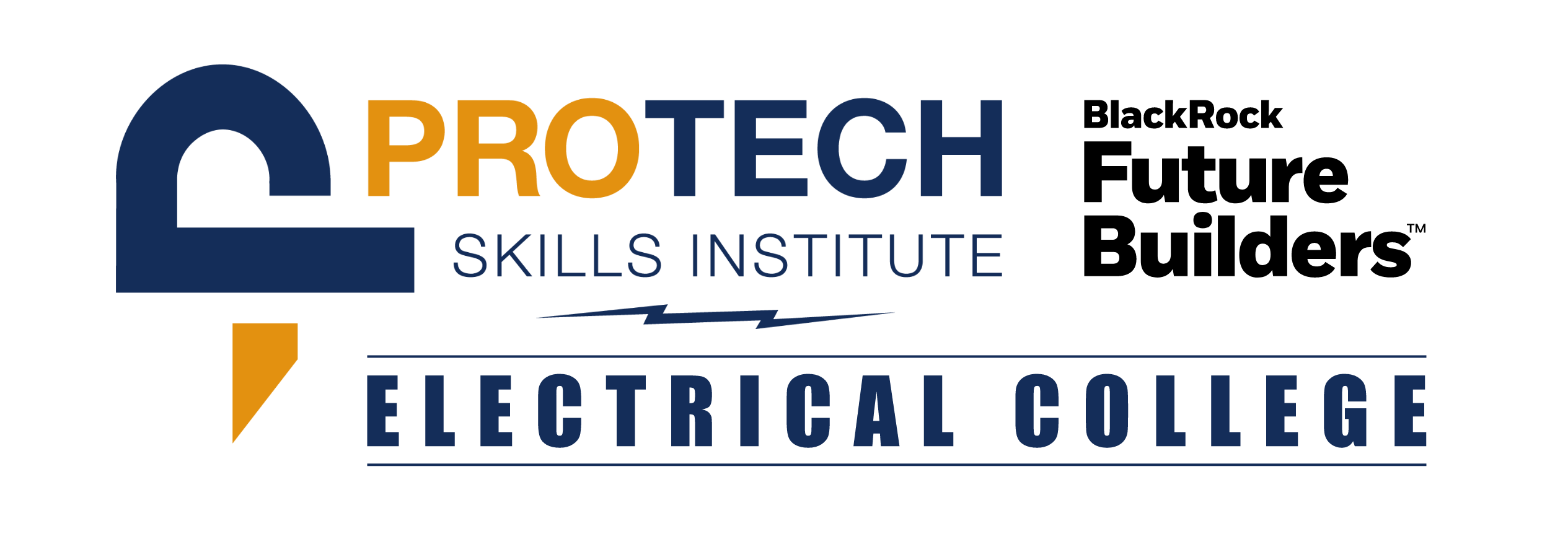 PTSI Electrical College